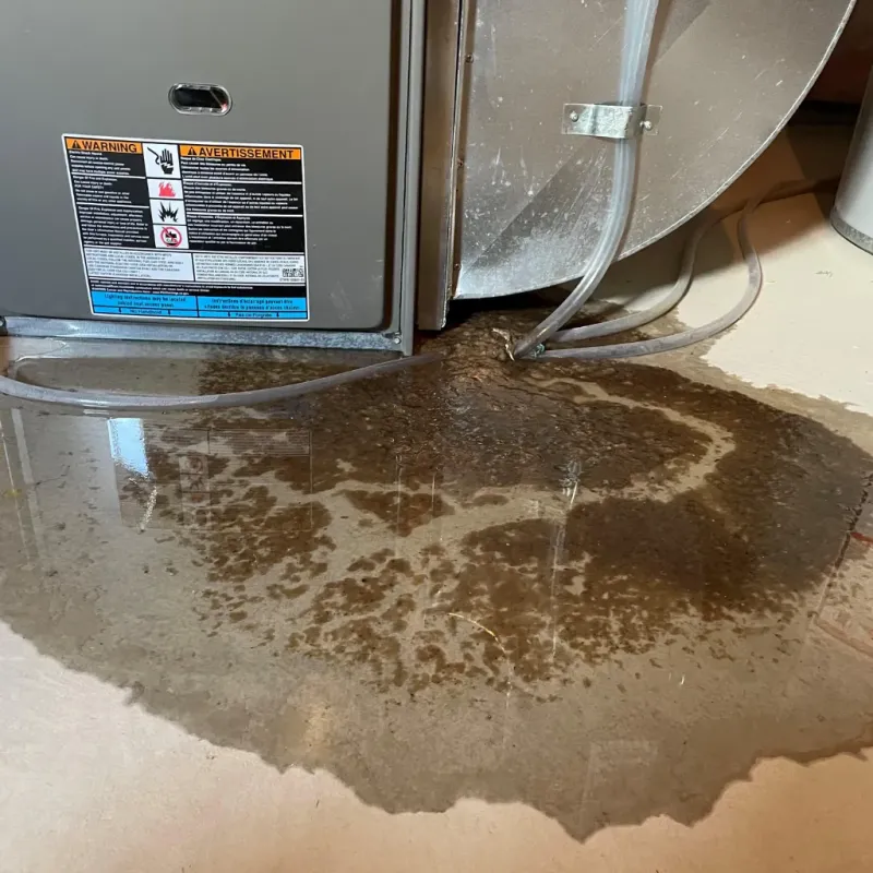 Appliance Leak Cleanup in Accomack County, VA